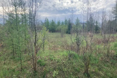 PtLot 8 Con 2 N/A, ON L9W 0R3