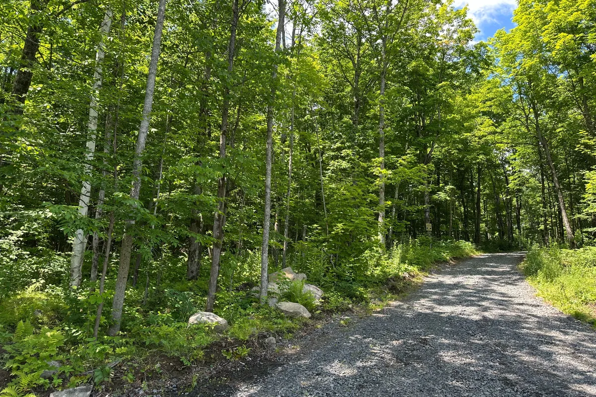 0-3 JACKS LAKE N/A, ON P0H 1N0