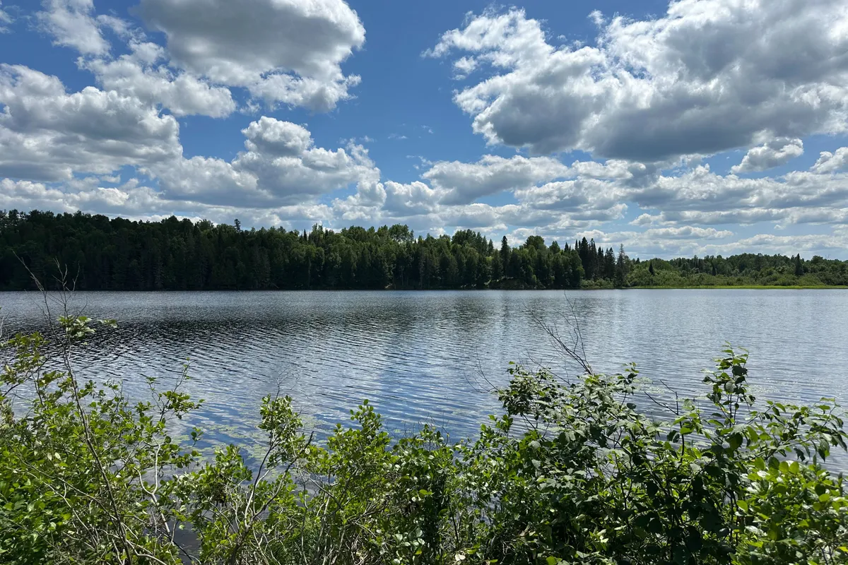 0-3 JACKS LAKE N/A, ON P0H 1N0