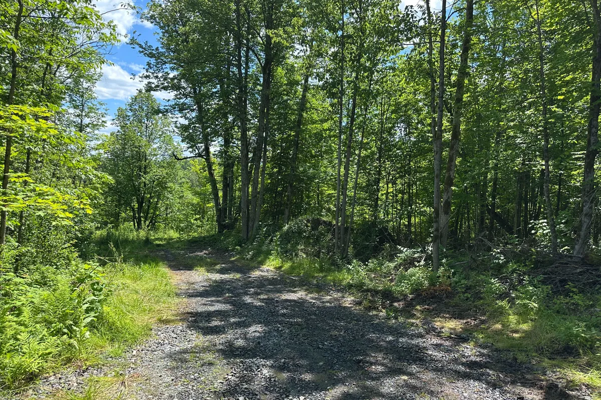 0-3 JACKS LAKE N/A, ON P0H 1N0