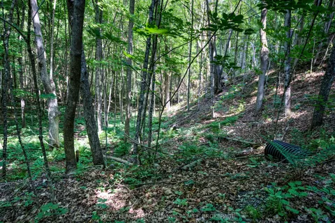 98 Rocky Ridge Lane, ON K0G 1X0