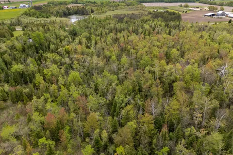 348305 4th Concession B N/A, ON N0C 1H0