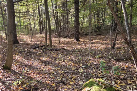 Lt12&13 Simpson Street, ON N0C 1E0