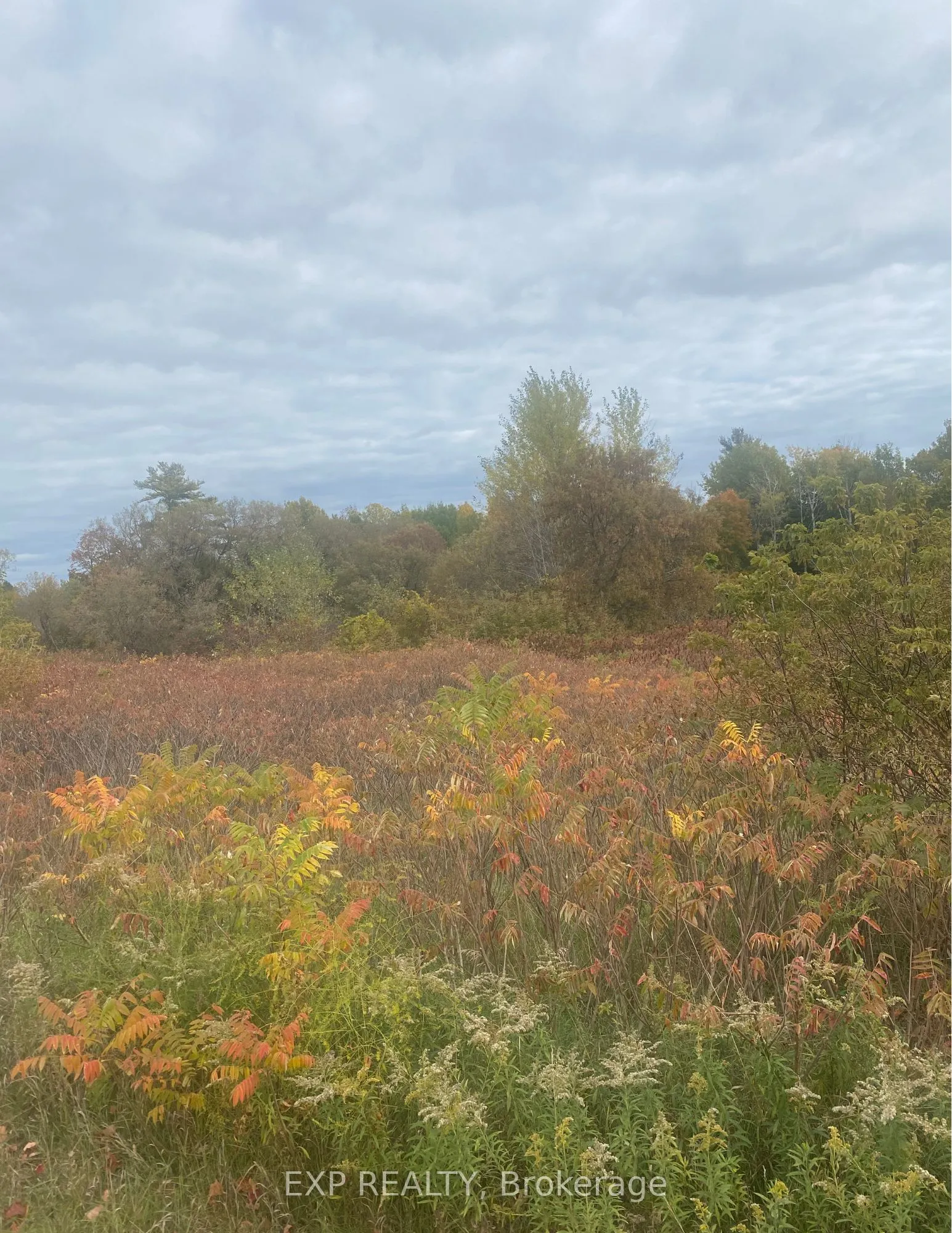 0 County Road 2 Road, ON K0K 1H0