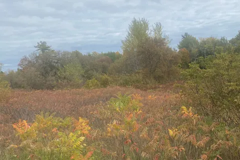 0 County Road 2 Road, ON K0K 1H0