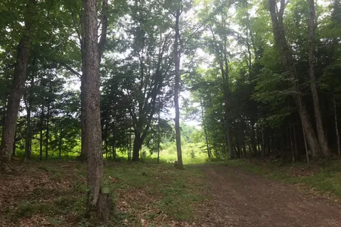 1645 South Lake Road, ON K0M 2K0