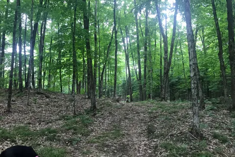 1645 South Lake Road, ON K0M 2K0