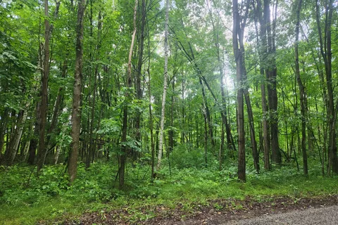 LOT Cedar Sands Road, ON K0E 1N0