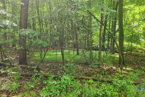 LOT Cedar Sands Road, ON K0E 1N0