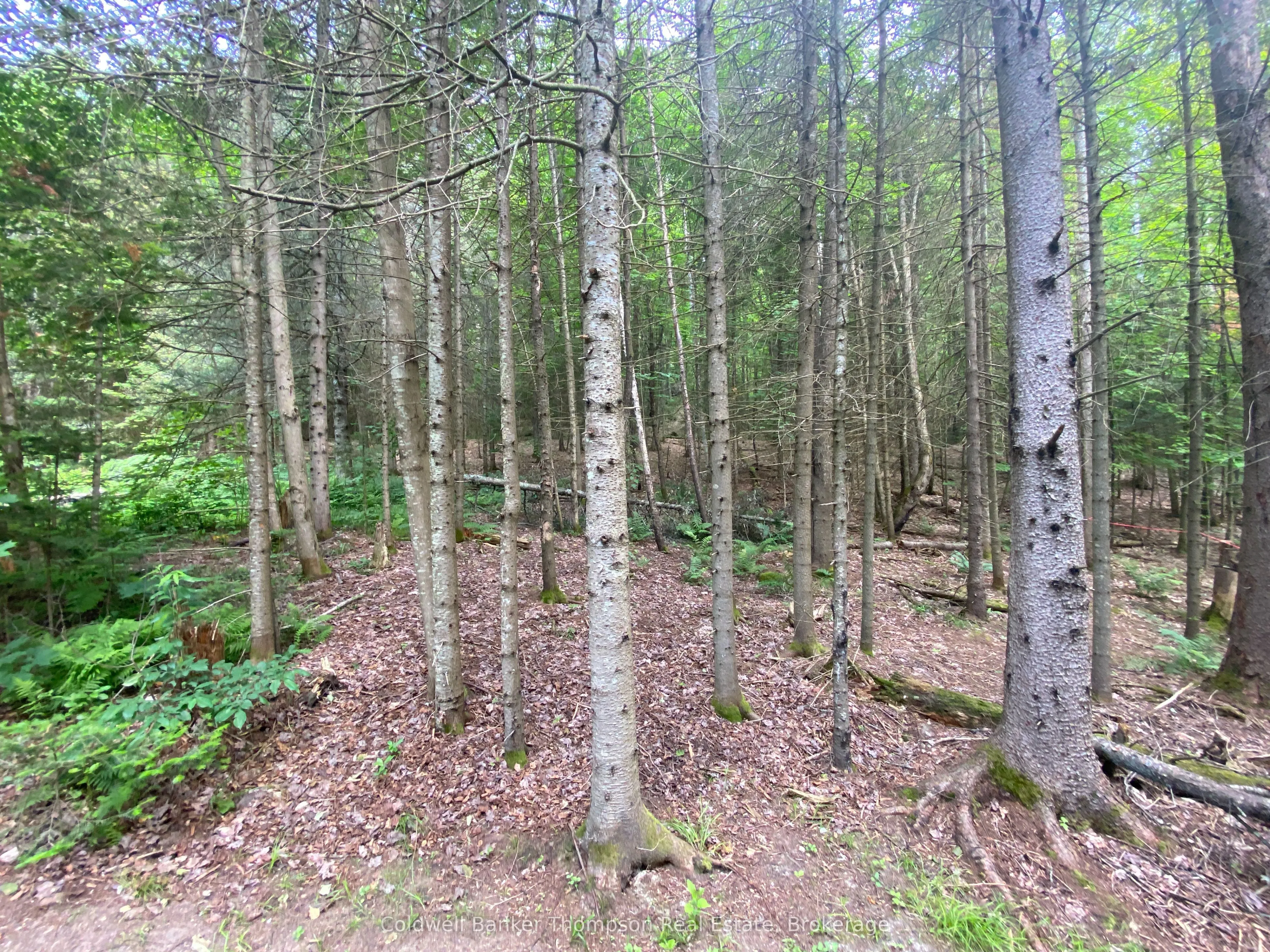 440 Riding Ranch Road, ON P0A 1X0