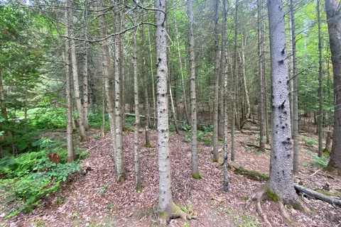 440 Riding Ranch Road, ON P0A 1X0