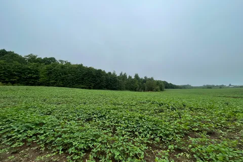 714261 Baseline Road, ON N0C 1E0