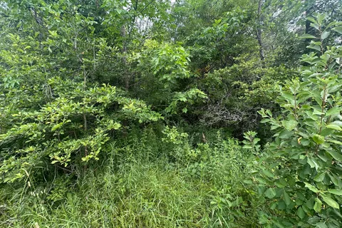 0 Centre Line Road, ON K0K 2M0