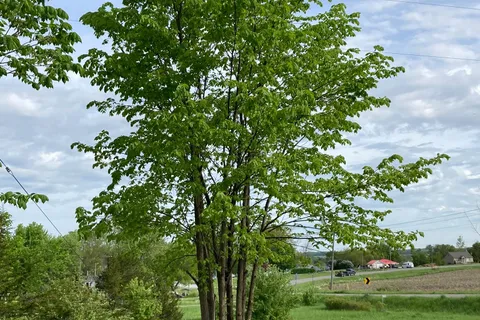 00 South Shore Road, ON K7R 3K7