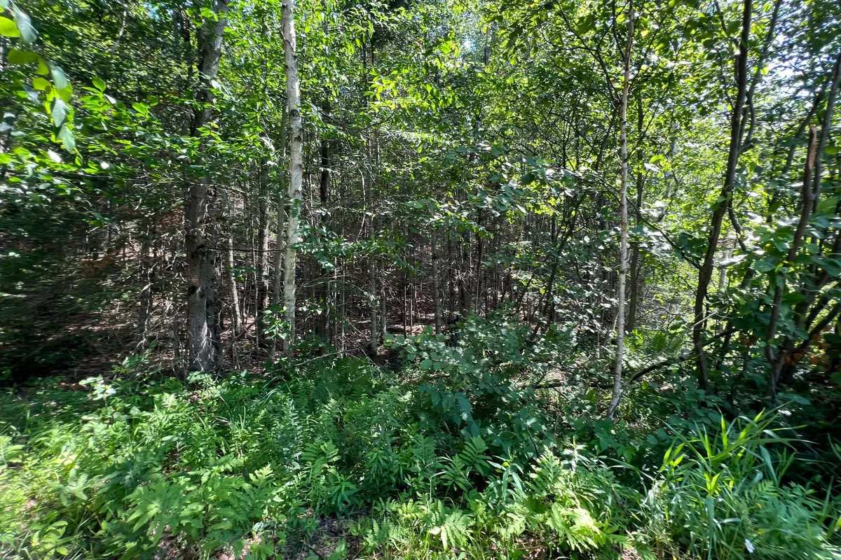 LOT 29 WEST Court, ON K0M 1S0