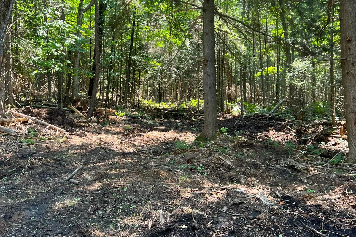 LOT 29 WEST Court, ON K0M 1S0