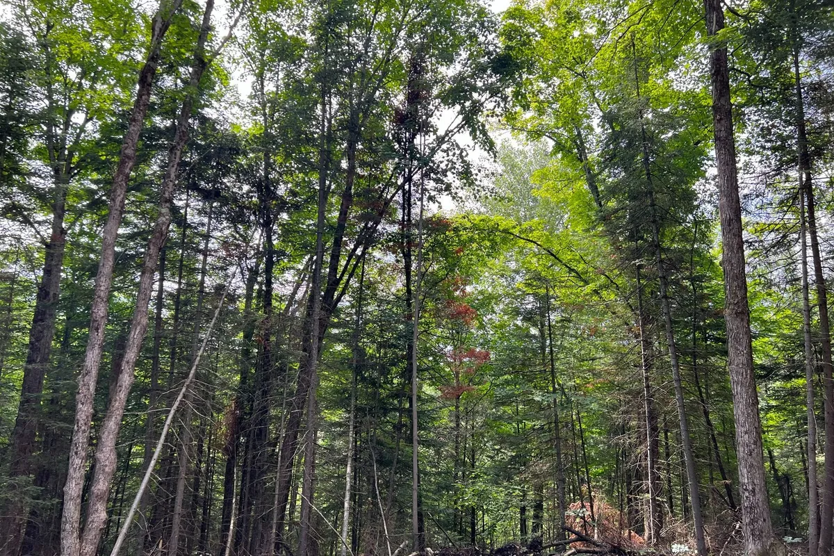 LOT 26 WEST Court, ON K0M 1S0