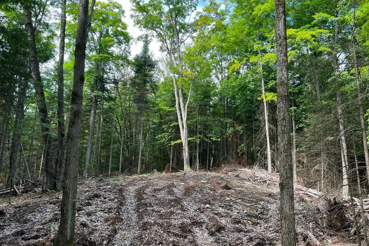 LOT 26 WEST Court, ON K0M 1S0