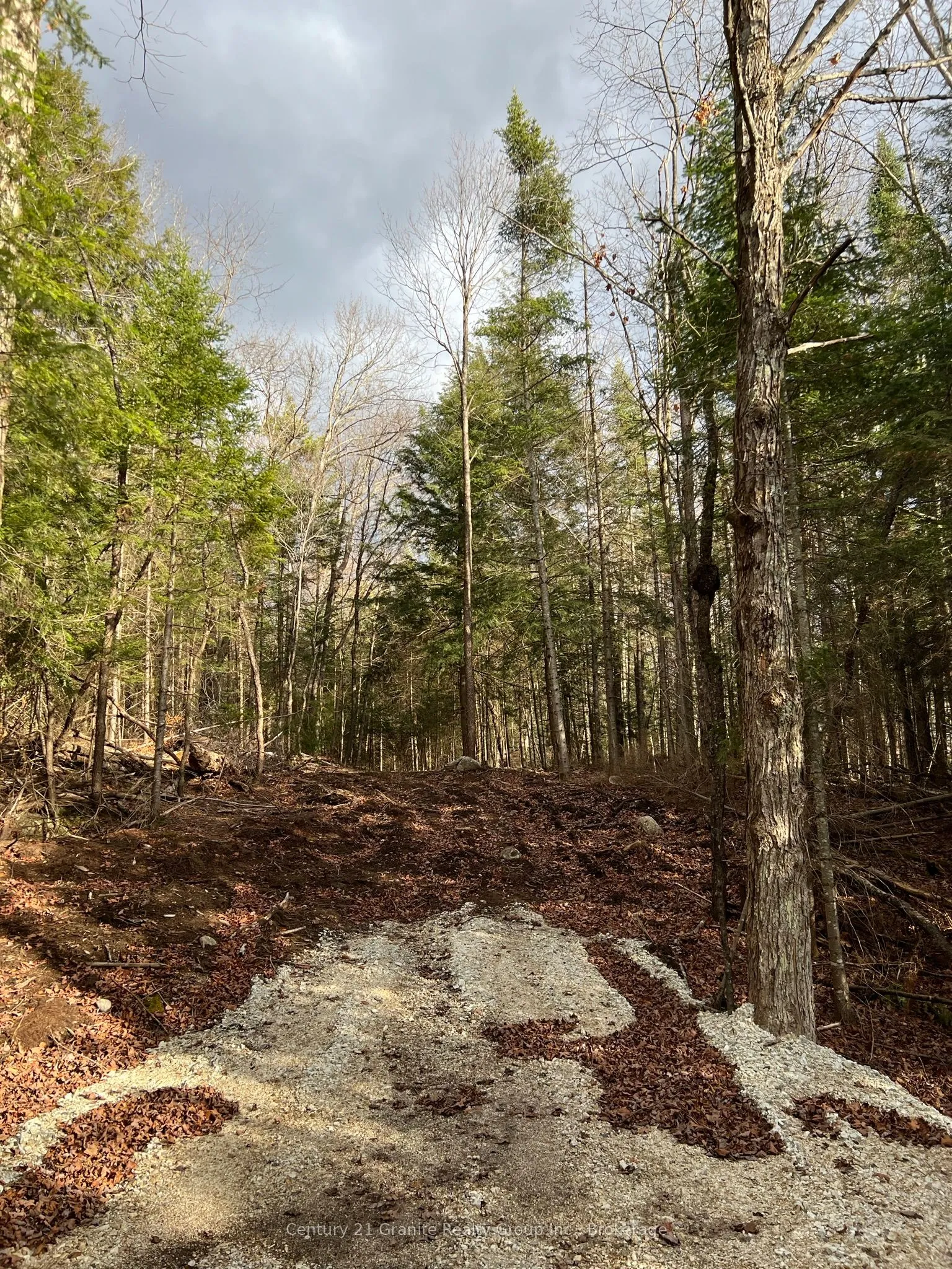 LOT 27 BUSHWOLF LAKE Road, ON K0M 1S0