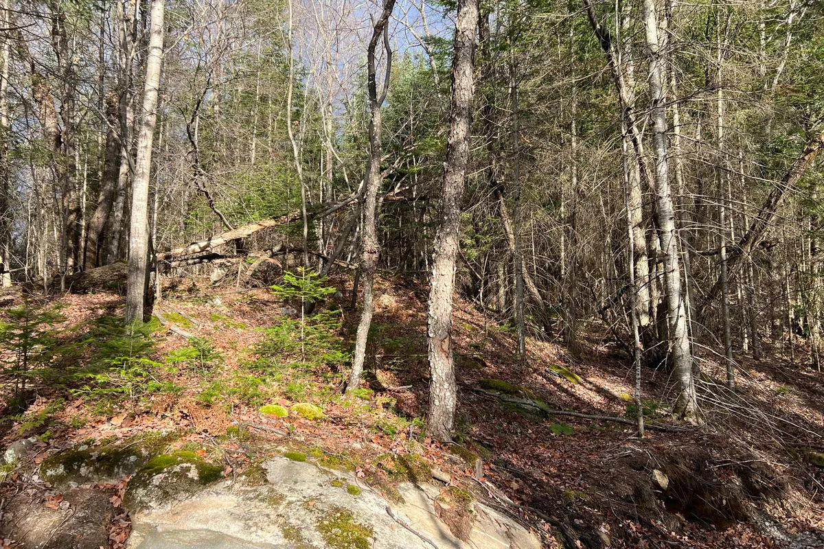 LOT 27 BUSHWOLF LAKE Road, ON K0M 1S0