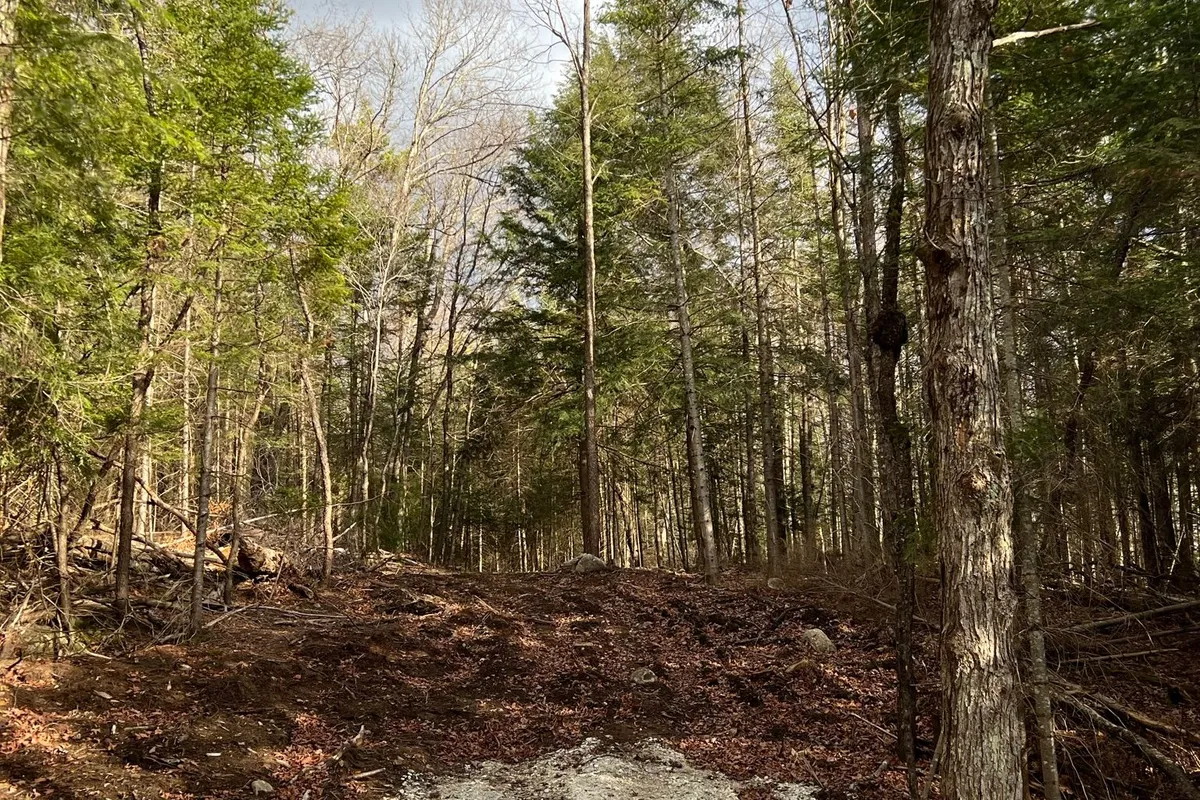 LOT 27 BUSHWOLF LAKE Road, ON K0M 1S0