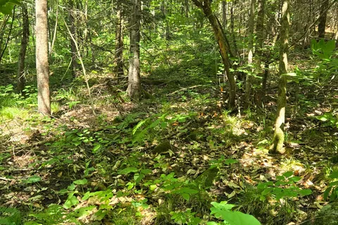 00 Highway 41 Highway, ON K0J 1T0