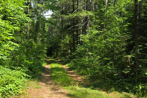 00 Highway 41 Highway, ON K0J 1T0