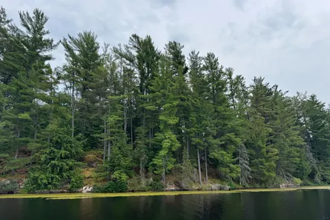 2 Wolf River N/A, ON P0H 1S0