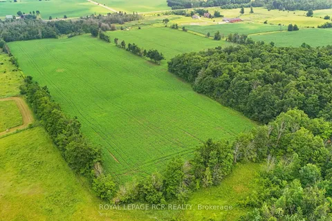 716450 1st Line N/A, ON L9V 0E9