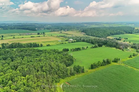 716450 1st Line N/A, ON L9V 0E9