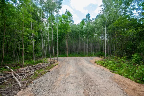 249 HILLS SIDING Road, ON P0K 1H0