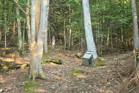 0 Madawaska River N/A, ON K0J 1G0