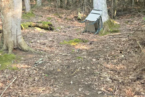 0 Madawaska River N/A, ON K0J 1G0