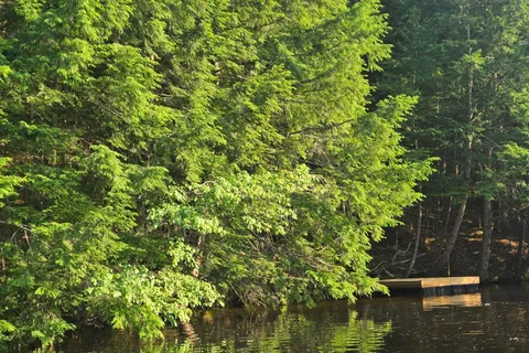 0 Madawaska River N/A, ON K0J 1G0