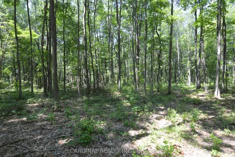 0 Browns/George Road, ON K0K 2X0