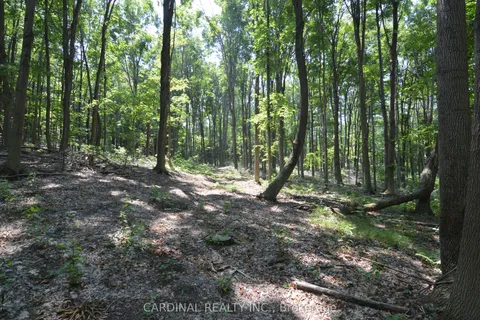 0 Browns/George Road, ON K0K 2X0