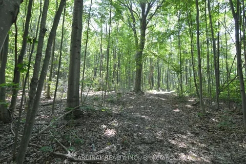 0 Browns/George Road, ON K0K 2X0