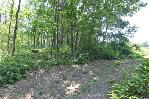 0 Browns/George - Vacant Lot Road, ON K0K 2X0