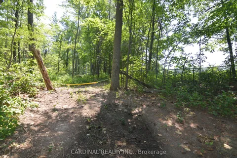 0 Browns/George - Vacant Lot Road, ON K0K 2X0