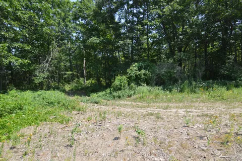 0 Browns/George - Vacant Lot Road, ON K0K 2X0