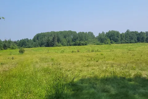 PT LT 12, & 13 CON 12 VAUGHAN Road, ON P0H 1V0