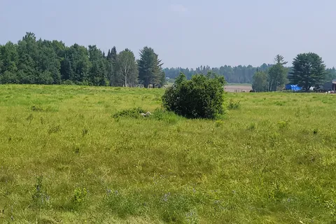 PT LT 12, & 13 CON 12 VAUGHAN Road, ON P0H 1V0