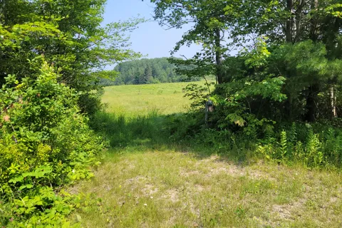 PT LT 12, & 13 CON 12 VAUGHAN Road, ON P0H 1V0