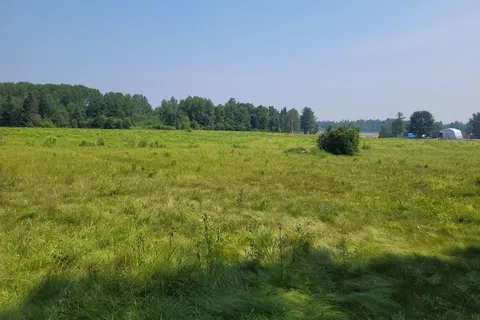 PT LT 12, & 13 CON 12 VAUGHAN Road, ON P0H 1V0