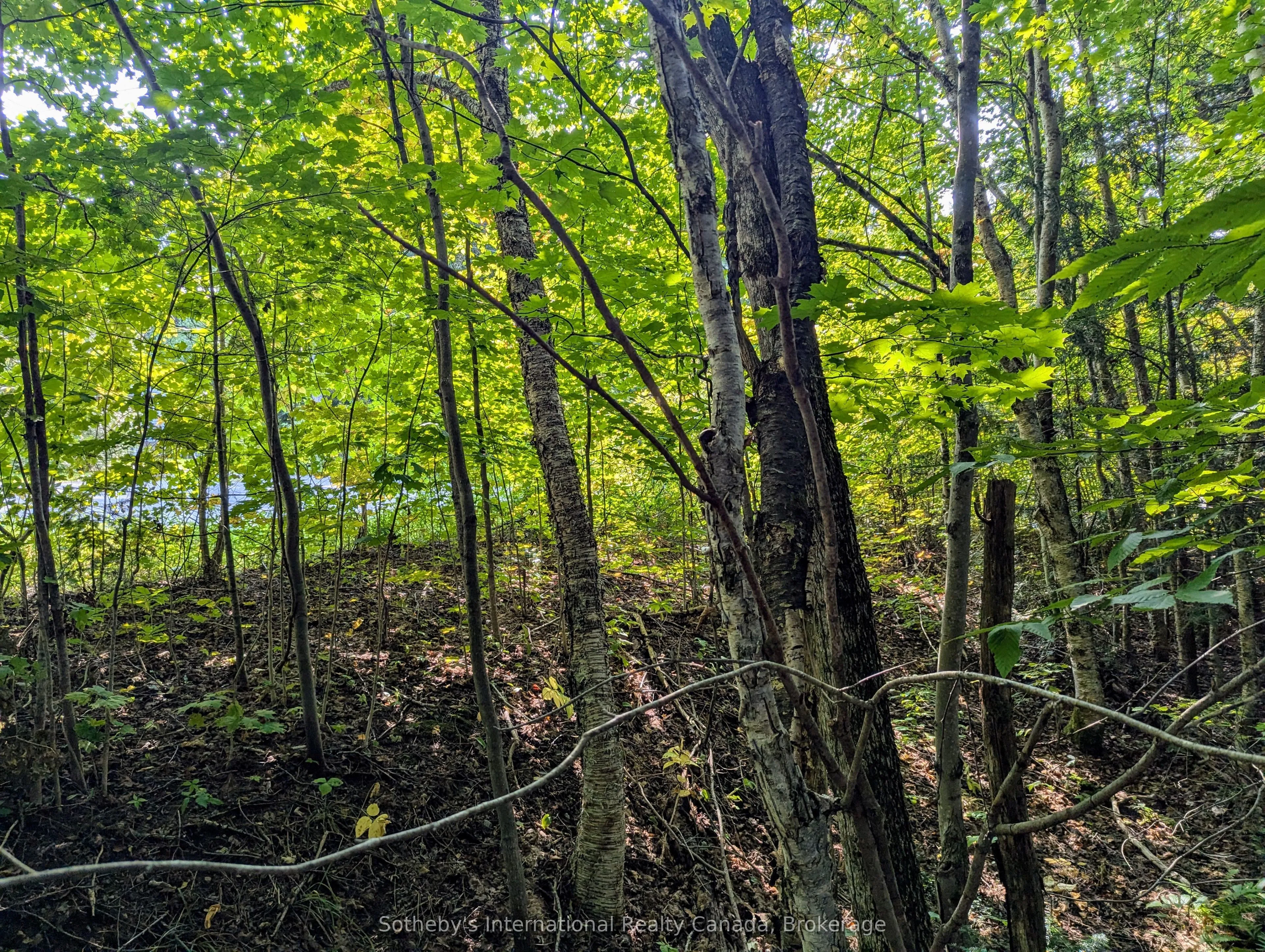 1031 HAVEN Road, ON P1L 1X1