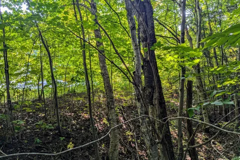 1031 HAVEN Road, ON P1L 1X1