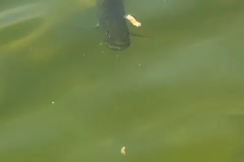 0 Moneymore Road, ON K0K 3J0