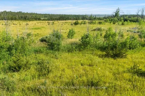 3529 Blessington Road, ON K0K 2N0