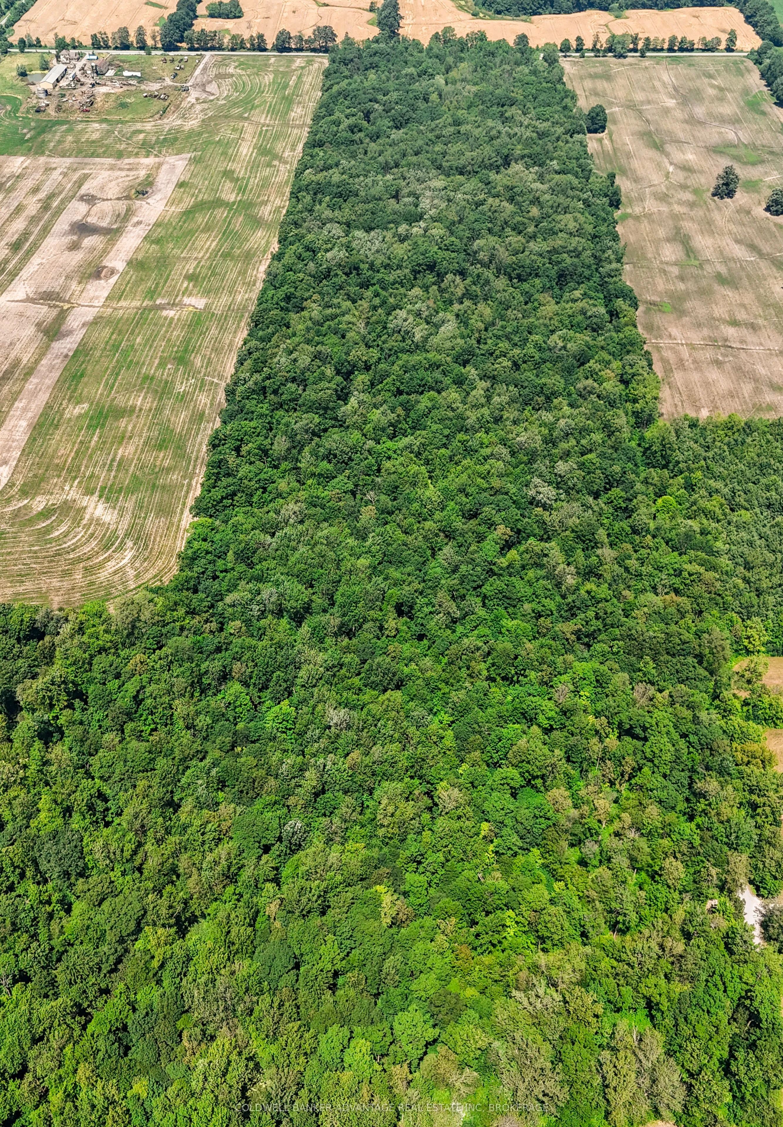 73325 HENDERSON Road, ON L0R 2J0