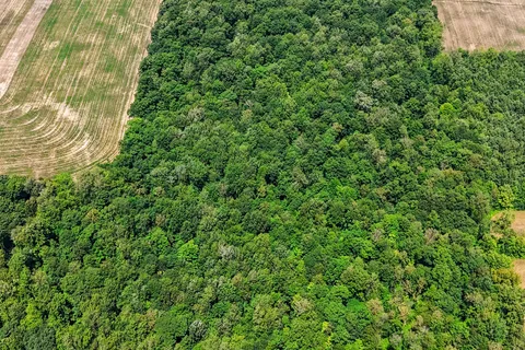 73325 HENDERSON Road, ON L0R 2J0